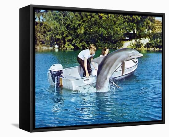 Flipper-null-Framed Stretched Canvas