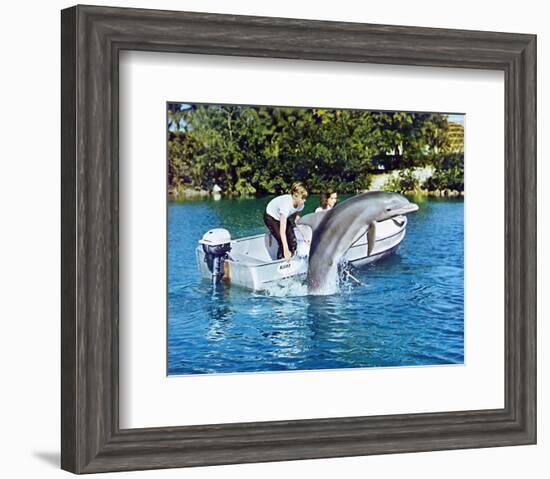 Flipper-null-Framed Photo