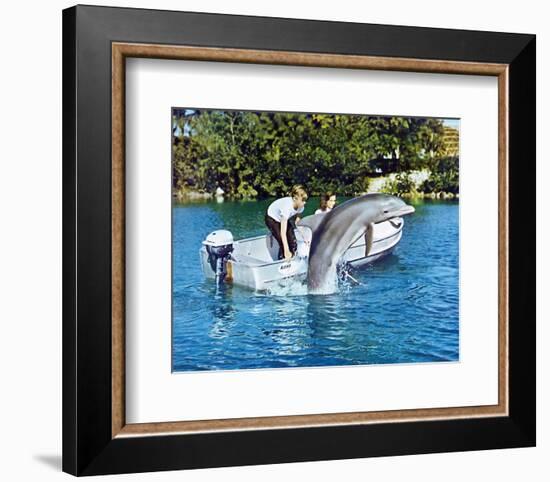 Flipper-null-Framed Photo