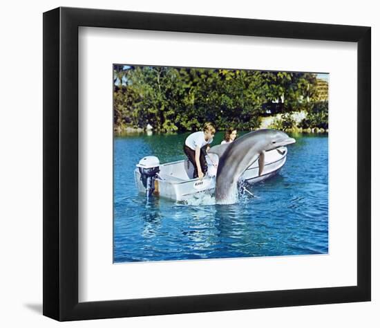 Flipper-null-Framed Photo