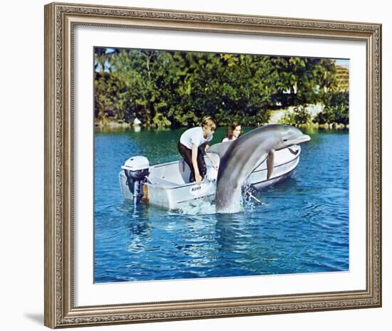 Flipper-null-Framed Photo