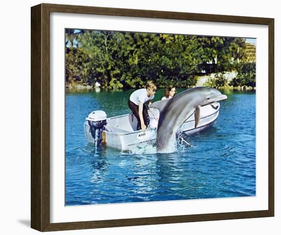 Flipper-null-Framed Photo