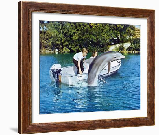 Flipper-null-Framed Photo