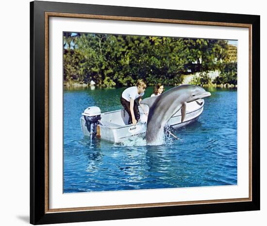 Flipper-null-Framed Photo