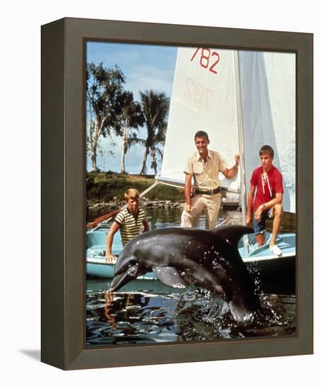 Flipper-null-Framed Stretched Canvas