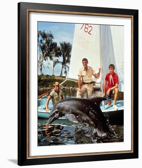 Flipper-null-Framed Photo