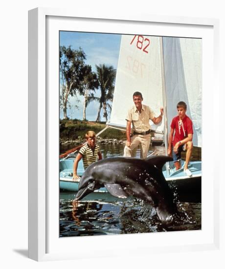 Flipper-null-Framed Photo