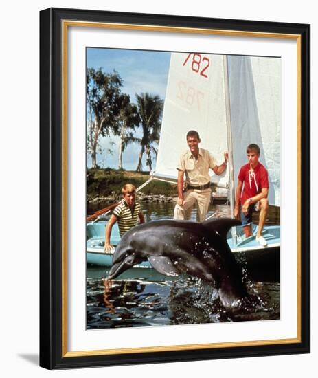 Flipper-null-Framed Photo