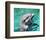 Flipper-null-Framed Photo