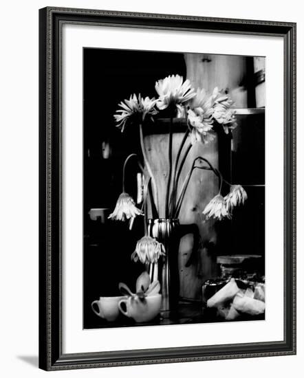 Fliptune-Sharon Wish-Framed Photographic Print