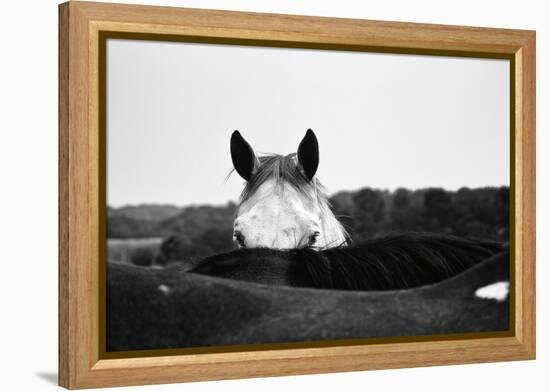 Flirt-Aledanda-Framed Stretched Canvas