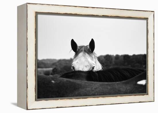 Flirt-Aledanda-Framed Stretched Canvas