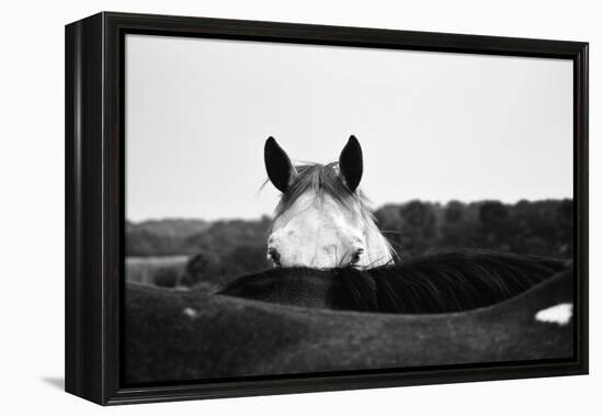 Flirt-Aledanda-Framed Stretched Canvas