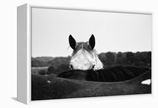 Flirt-Aledanda-Framed Stretched Canvas