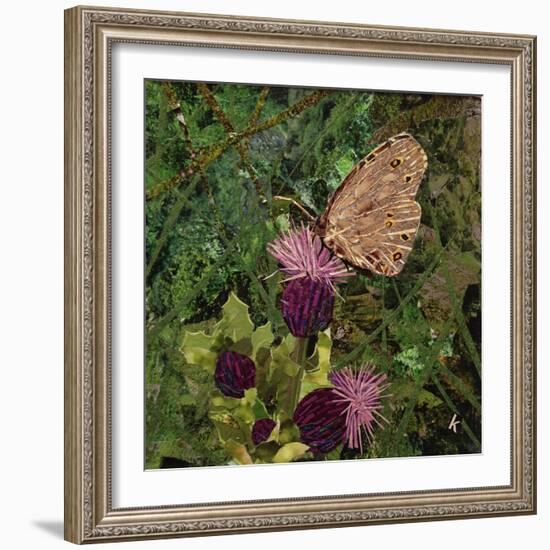 Flit - Satyr Butterfly on Thistle-Kirstie Adamson-Framed Giclee Print