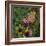 Flit - Satyr Butterfly on Thistle-Kirstie Adamson-Framed Giclee Print