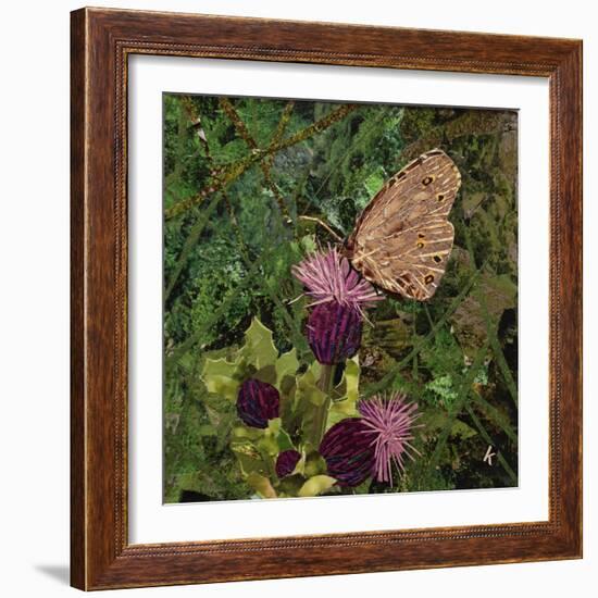 Flit - Satyr Butterfly on Thistle-Kirstie Adamson-Framed Giclee Print