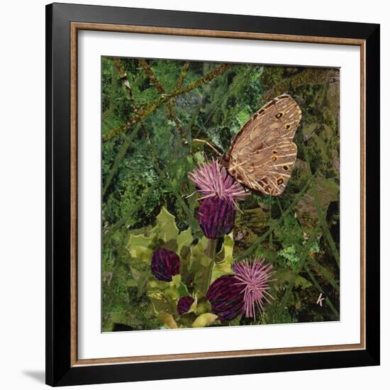 Flit - Satyr Butterfly on Thistle-Kirstie Adamson-Framed Giclee Print