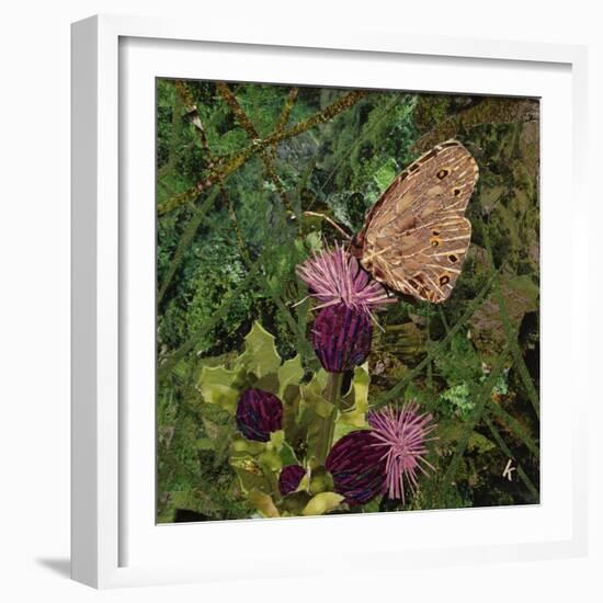 Flit - Satyr Butterfly on Thistle-Kirstie Adamson-Framed Giclee Print