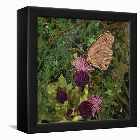 Flit - Satyr Butterfly on Thistle-Kirstie Adamson-Framed Premier Image Canvas