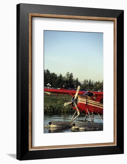 Float Plane, Anchorage, Alaska, USA-Gerry Reynolds-Framed Photographic Print