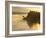 Float Plane on Beluga Lake at Dawn, Alaska, USA-Adam Jones-Framed Photographic Print