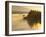 Float Plane on Beluga Lake at Dawn, Alaska, USA-Adam Jones-Framed Photographic Print