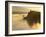 Float Plane on Beluga Lake at Dawn, Alaska, USA-Adam Jones-Framed Photographic Print