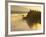 Float Plane on Beluga Lake at Dawn, Alaska, USA-Adam Jones-Framed Photographic Print