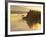 Float Plane on Beluga Lake at Dawn, Alaska, USA-Adam Jones-Framed Photographic Print