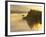 Float Plane on Beluga Lake at Dawn, Alaska, USA-Adam Jones-Framed Photographic Print