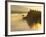 Float Plane on Beluga Lake at Dawn, Alaska, USA-Adam Jones-Framed Photographic Print