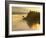 Float Plane on Beluga Lake at Dawn, Homer, Alaska, USA-Adam Jones-Framed Photographic Print