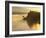 Float Plane on Beluga Lake at Dawn, Homer, Alaska, USA-Adam Jones-Framed Photographic Print