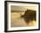 Float Plane on Beluga Lake at Dawn, Homer, Alaska, USA-Adam Jones-Framed Photographic Print