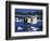 Float Plane Taxiing to Terminal on Lake Union, Washington, USA-William Sutton-Framed Photographic Print