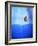 Floater and Hook in Water-Matthias Kulka-Framed Giclee Print