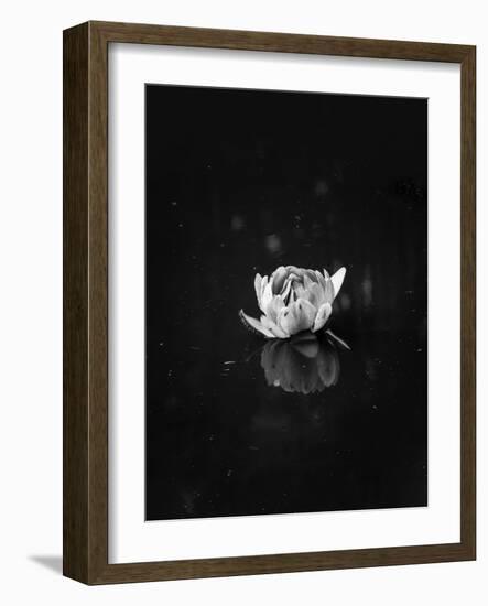 Floating 2-Design Fabrikken-Framed Photographic Print