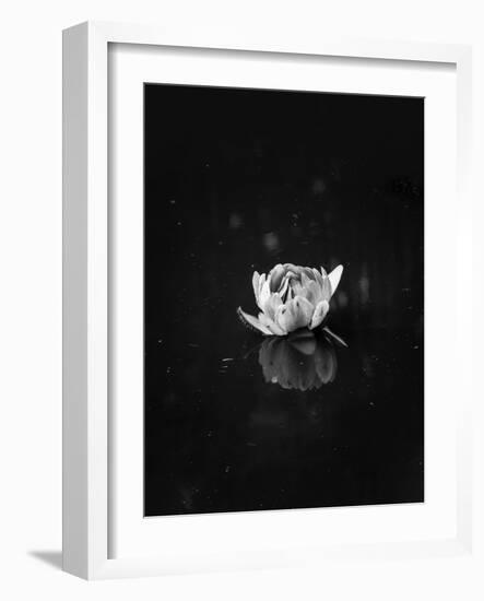 Floating 2-Design Fabrikken-Framed Photographic Print