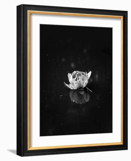 Floating 2-Design Fabrikken-Framed Photographic Print