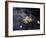 Floating Autumn Leaves are Seen in a Koi Pond-Rick Bowmer-Framed Photographic Print