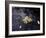 Floating Autumn Leaves are Seen in a Koi Pond-Rick Bowmer-Framed Photographic Print