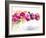 Floating Blooms-Lanie Loreth-Framed Art Print