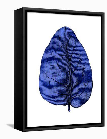 Floating Blue Leaf I-Jasmine Woods-Framed Stretched Canvas