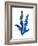 Floating Blue Plant-Jasmine Woods-Framed Art Print