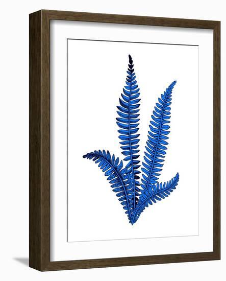 Floating Blue Plant-Jasmine Woods-Framed Art Print