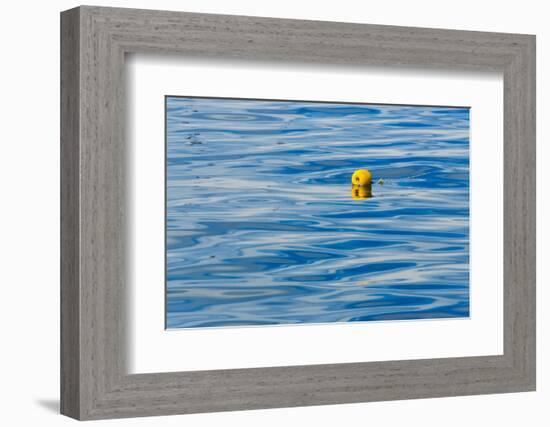 Floating buoy in the ocean, Van Dyks Bay. Western Cape Province, South Africa.-Keren Su-Framed Photographic Print