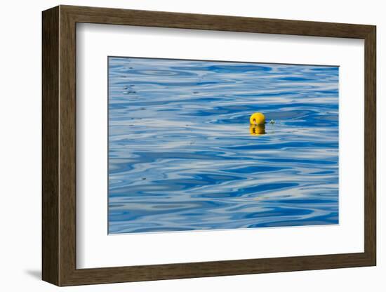 Floating buoy in the ocean, Van Dyks Bay. Western Cape Province, South Africa.-Keren Su-Framed Photographic Print