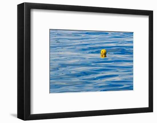 Floating buoy in the ocean, Van Dyks Bay. Western Cape Province, South Africa.-Keren Su-Framed Photographic Print