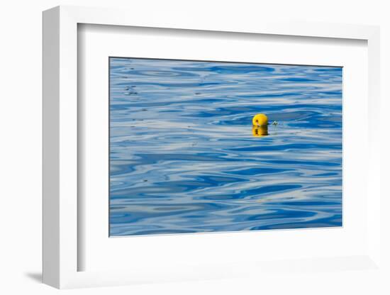 Floating buoy in the ocean, Van Dyks Bay. Western Cape Province, South Africa.-Keren Su-Framed Photographic Print